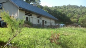 Barn_Jun2012